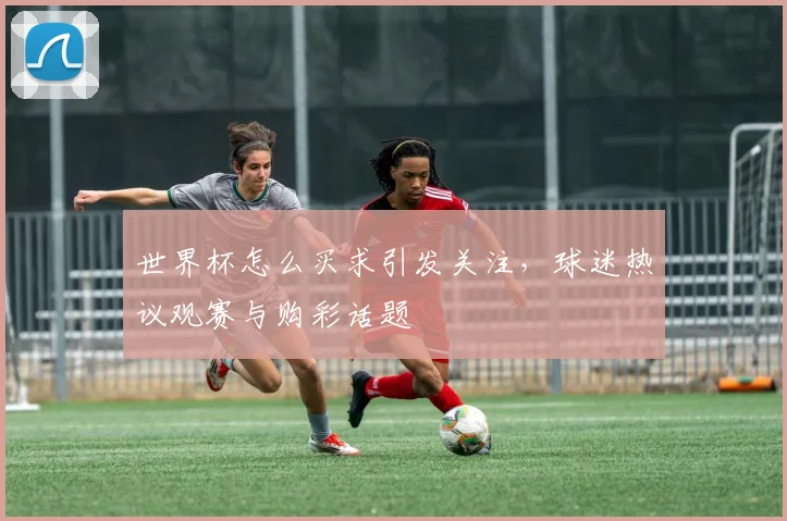 世界杯怎么买求引发关注,球迷热议观赛与购彩话题
