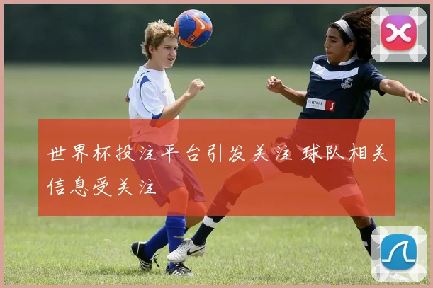 世界杯投注平台引发关注 球队相关信息受关注