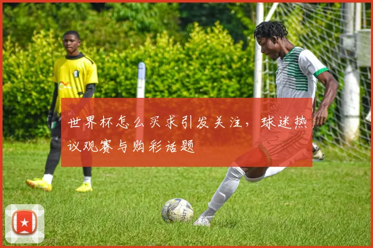 世界杯怎么买求引发关注,球迷热议观赛与购彩话题
