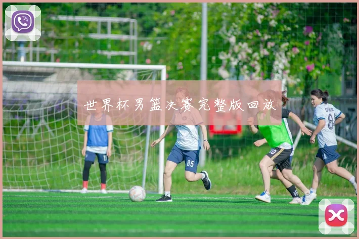 世界杯男篮决赛完整版回放