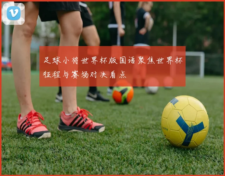 足球小将世界杯版国语聚焦世界杯征程与赛场对决看点